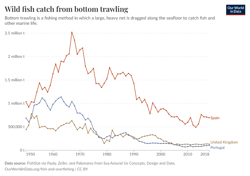 Wild fish catch from bottom trawling