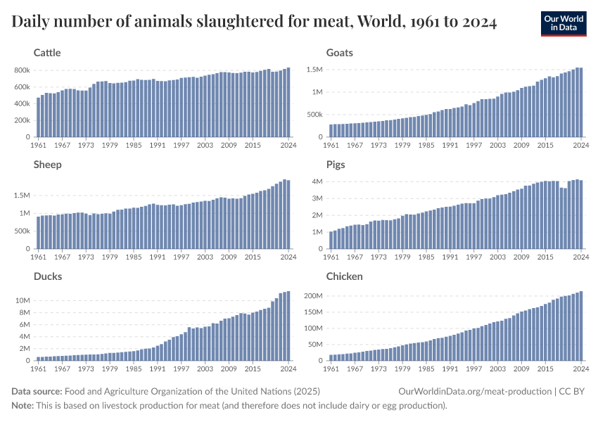 Daily number of animals slaughtered for meat